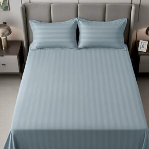 Blue striped 100% Cotton Bedding Set | King Size 108x108 | 600 TC with 2 Pillow Covers
