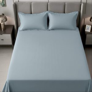 Blue Solid 100% Cotton Bedding Set | 600 TC with 2 Pillow Covers