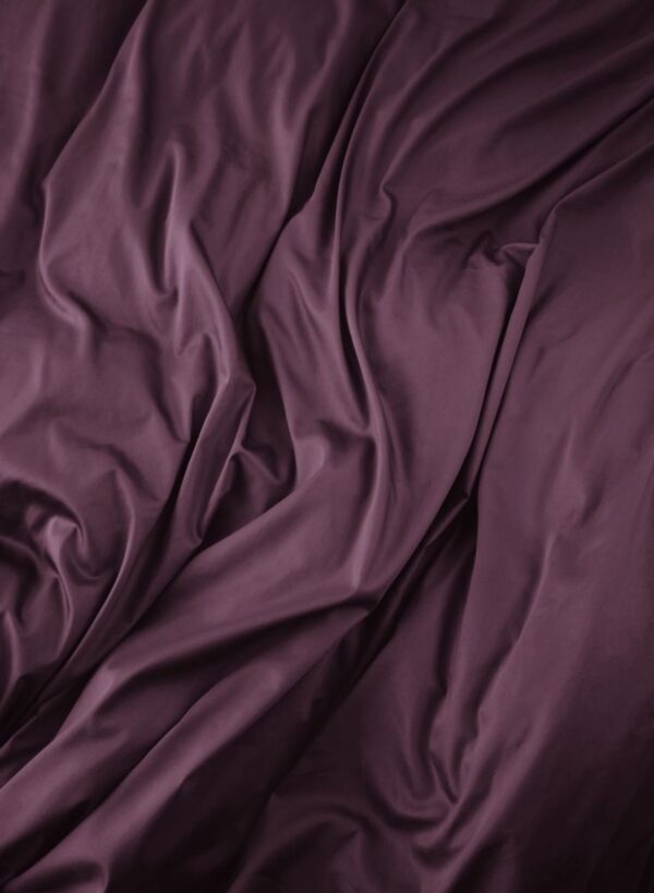 Plum beige 6 pcs Luxury Complete Bedding Set | Bedsheet, Comforter and Cushion Cover Copy - Image 8